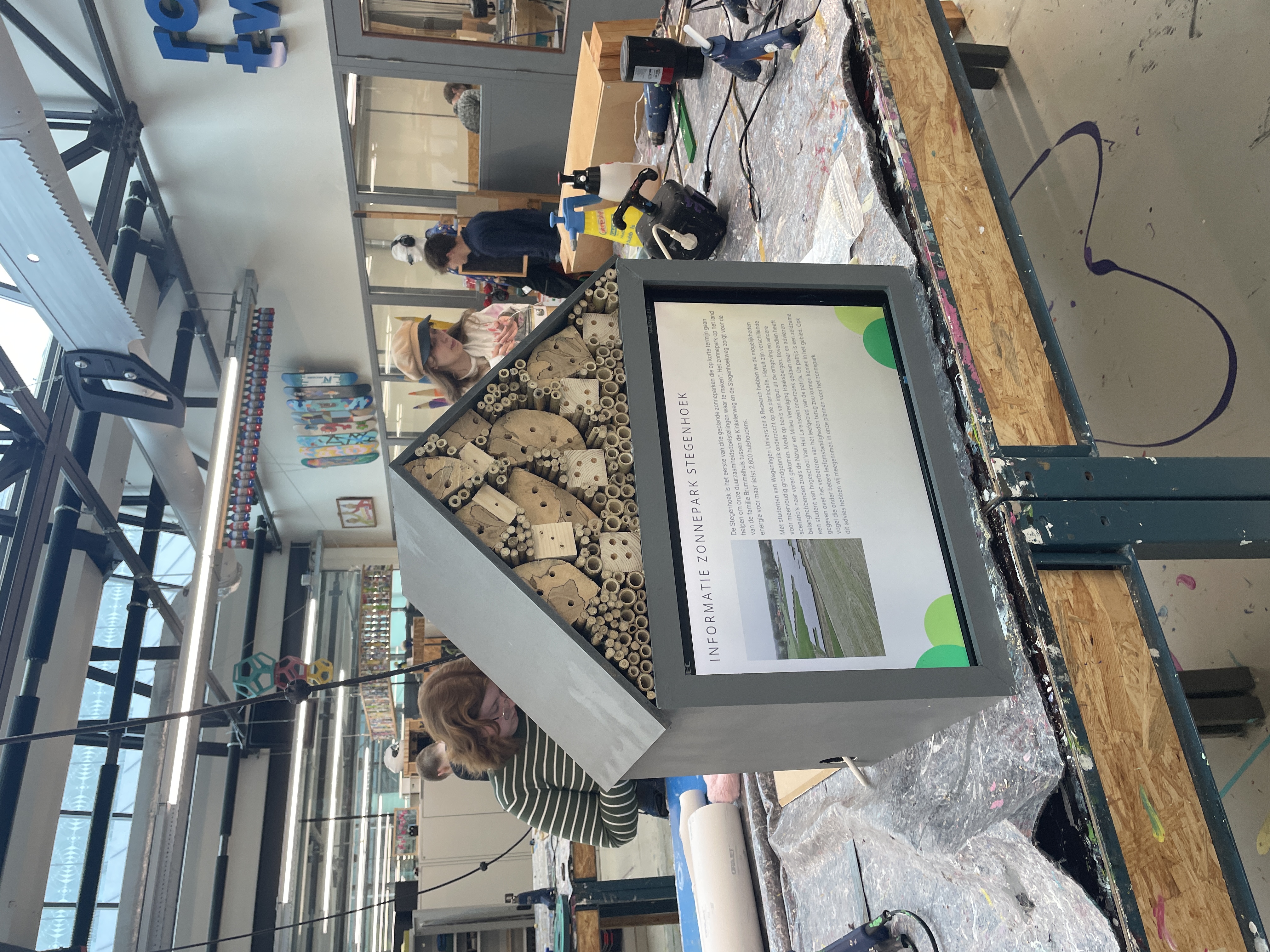 Ontwerp van het examenproject